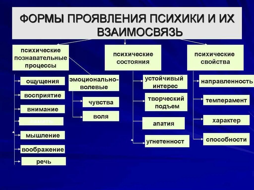 Формы проявления психики. Основные формы проявления психики и их взаимосвязь. Основные формы проявления психики человека. Формы проявления психики . Психические процессы свойства состояния. Свойства психических познавательных процессов