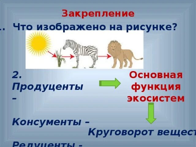 Продуценты консументы и редуценты это. Функции консументов в экосистеме. Консументы редуценты продуценты таблица. Консументы роль. Высокая численность консументов 3 порядка наличие круговорота