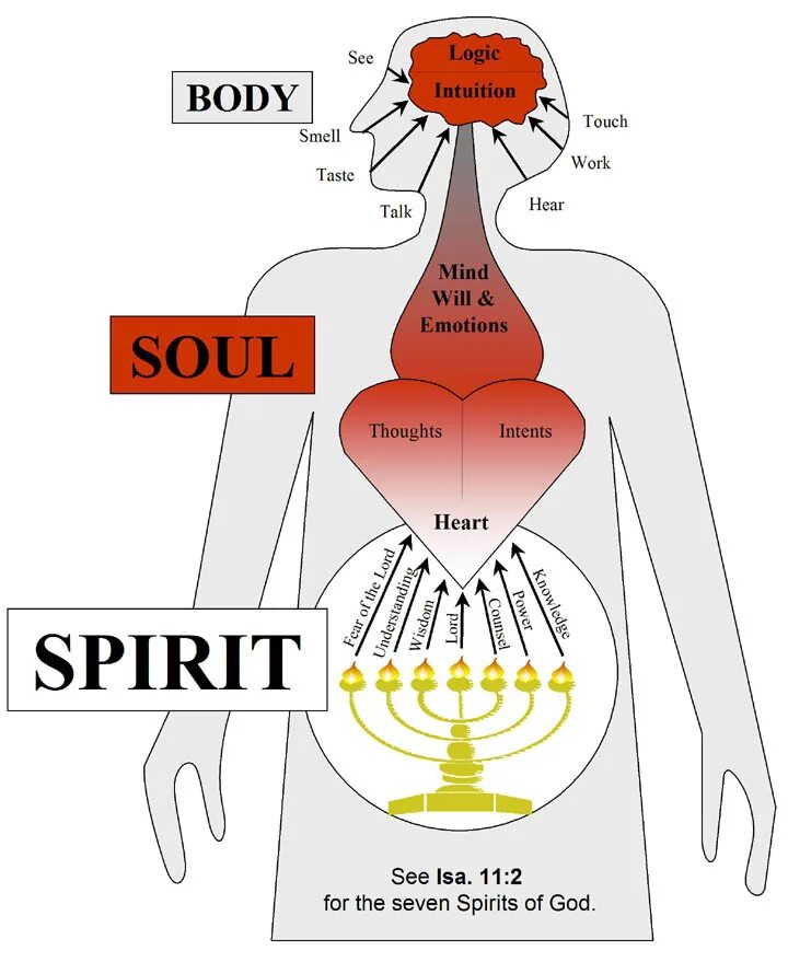 Spirit and body. Soul Spirit. Спирит боди соул. Дух и душа. Taste talk