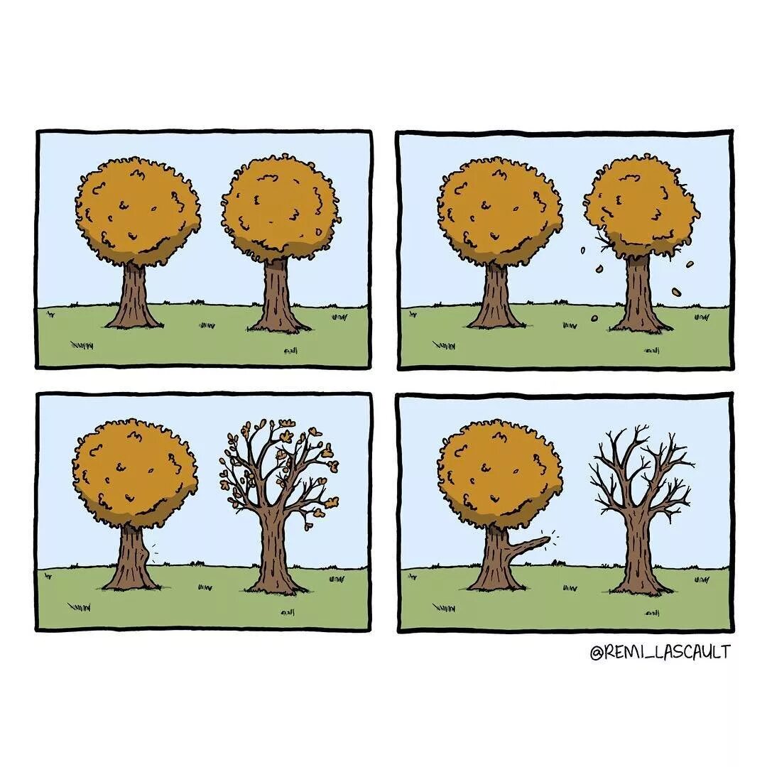 Как растет мимо