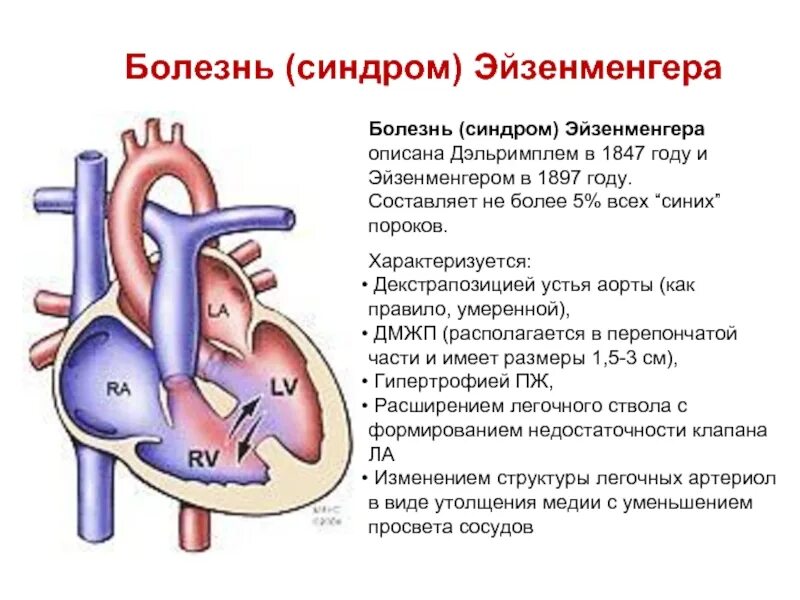 Впс премиум
