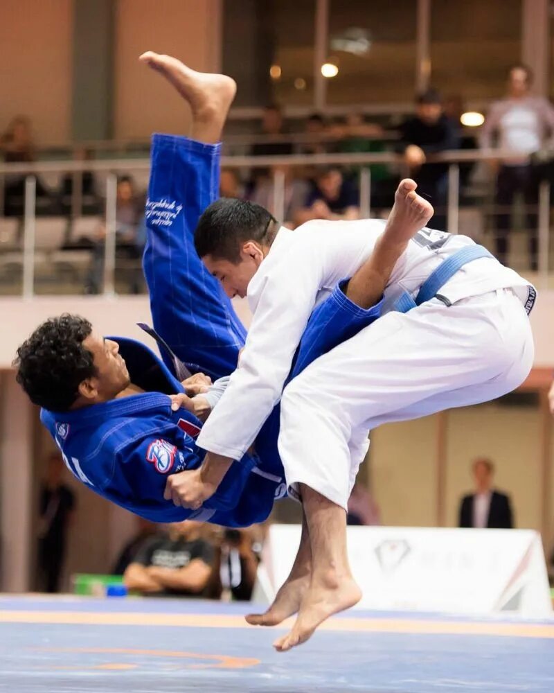 Бразильское джиу-джитсу. Хапкидо на корейском. Дзюдо vs бжж. Джиу джитсу бросок. Бразильское джиу-джитсу приемы.