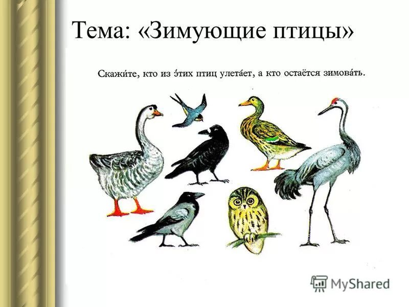 кто как разговаривает птицы. кто поет из животных и птиц. кто как говорит птицы. какие звуки издают птицы для детей. глагол животное.