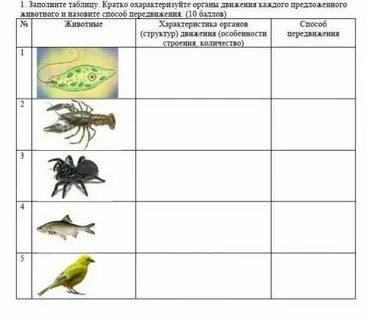 Схема показывающая способы передвижения животных