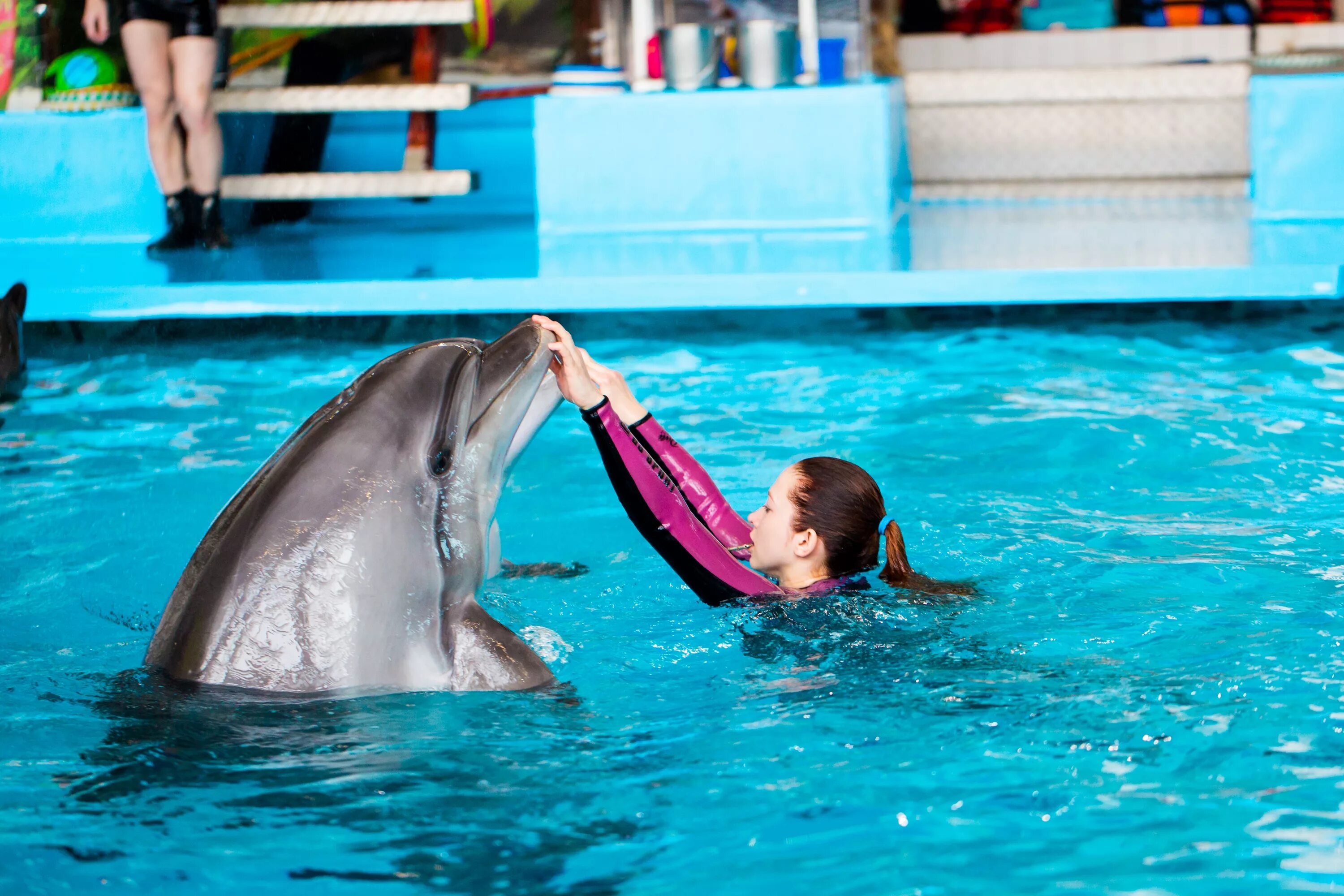 Свадьба в Дельфинарии - Picture of Dolphinarium Naberezhnye Chelny - Tripadvisor