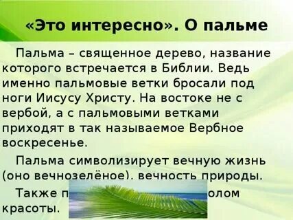 Сколько звуков в слове пальма
