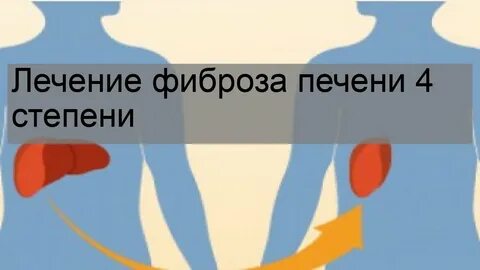 Фиброз печени лечение народными средствами