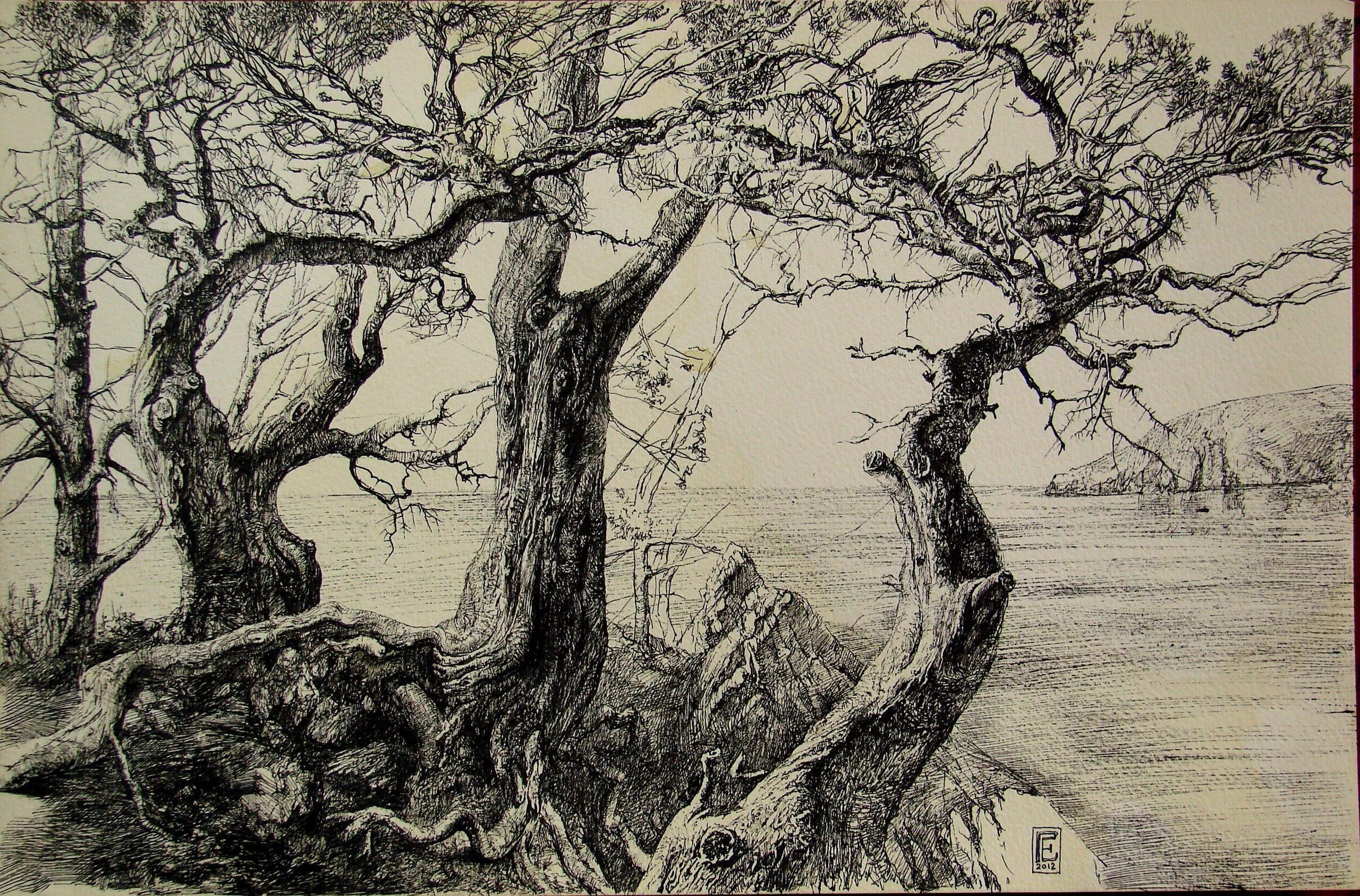 Наброски пейзажа. Композиция из линий. Наброски сельского пейзажа. Карандашная графика. Графика карандашом.