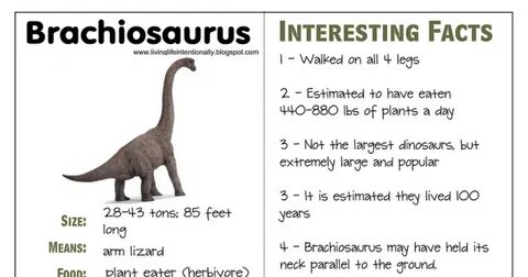 Interesting informations