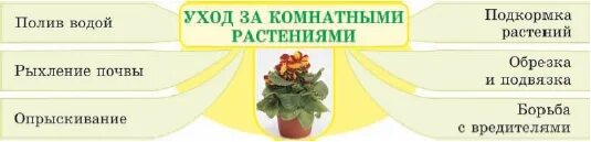 Цветов 5 классов. Технологическая карта уход за комнатными растениями. Памятка ухода за комнатными растениями. Уход за растениями этапы. Памятка комнатные растения.