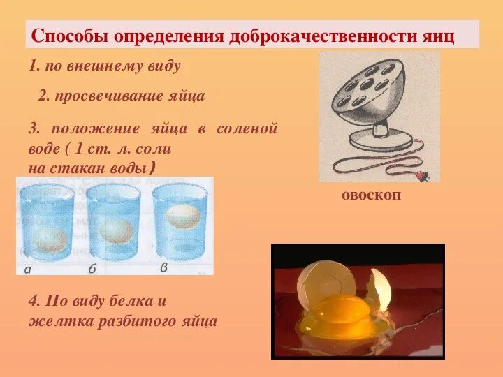 Подача вареных яиц. Блюда из яиц. Блюда из яиц на урок технологии. Технология приготовления блюд из яиц 5 класс. Технология приготовления блюд из яиц.