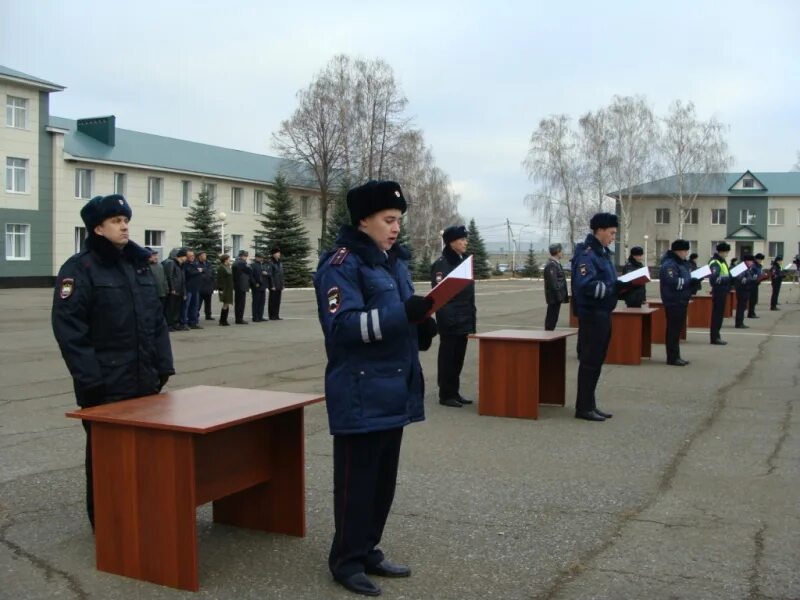 Сфр набережные. ВИПК Набережные Челны. Филиал ВИПК Набережные Челны. ВИПК Набережные Челны преподаватели. ЦПП Набережные Челны.