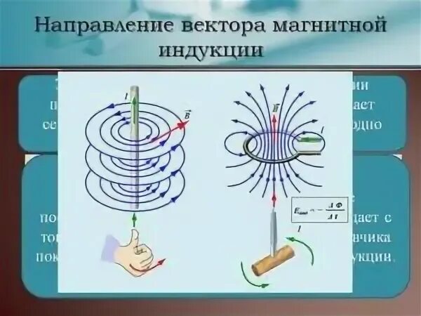 В какую сторону направлена магнитная индукция. Магнитная индукция направление. Направление вектора магнитной индукции в магните. Направление вектора магнитного поля. Направление вектора магнитной индукции поля.