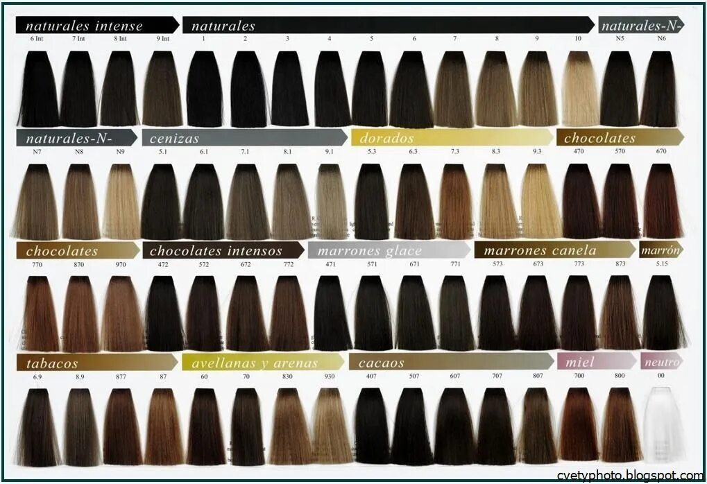 Как называется краска черного цвета. Палитра exitenn color cream. exitenn professional палитра красок. exitenn краска для волос палитра. экситон краска для волос палитра.