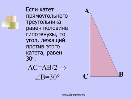 Катет треугольника равен 30 см