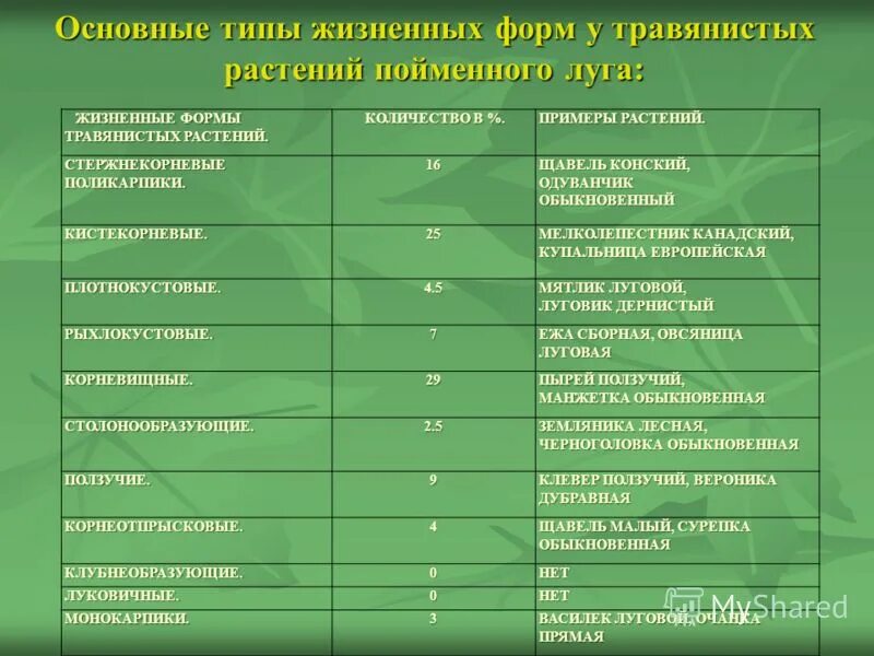 Жизненная форма 5 класс. Основные жизненные формы растений. Растения Луга таблица. Жизненные формы растений Луга. Характеристика жизненных форм растений.