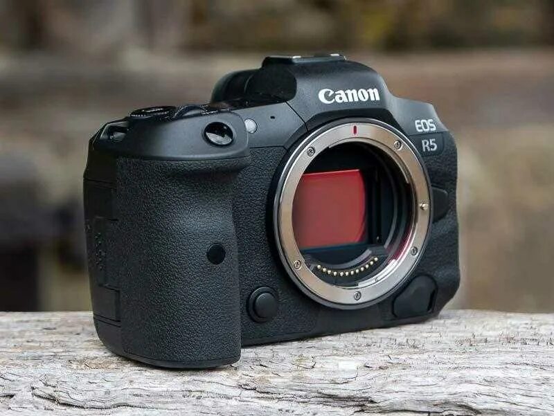 Canon eos r5 body. Canon r8. Фотоаппарат canon eos r. Canon eos 90d 18-135. Canon eos r10 body.