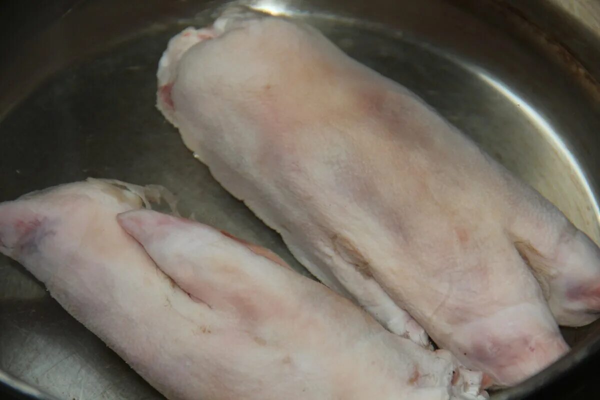 Холодец из окорочков. Набор для холодца из индейки. Холодец томится с закрытой крышкой. Холодное из куриных окорочков. Как сварить холодец из окорочков.