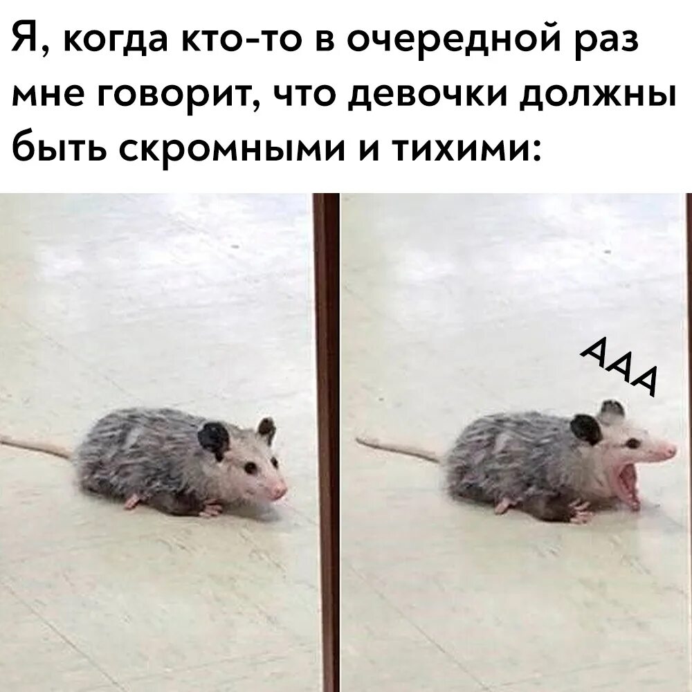 Мемы с крысами. Орущая мышь Мем. Вопль мыши