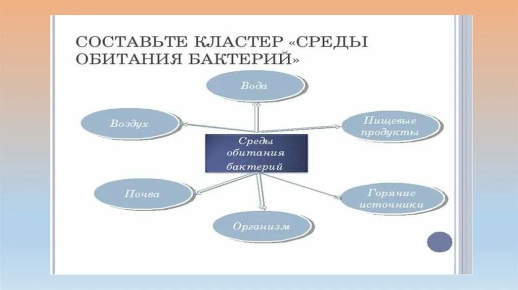 Среда обитания бактерий паразитов. Среда обитания бактерий. Кластер по бактериям. Среды обитания бактерий схема. Микроорганизмы кластер.