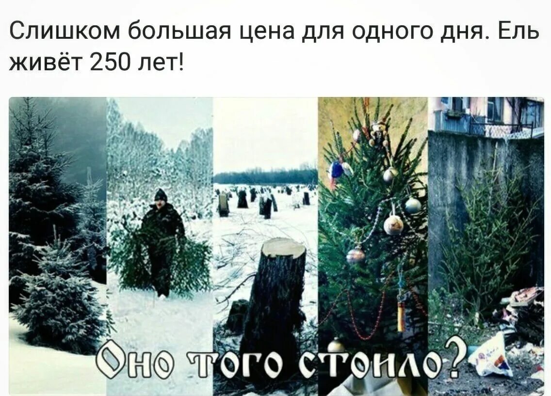 Ели ели уснула