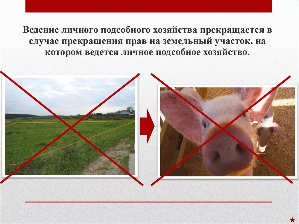 Использование личного подсобного хозяйства. Постройки сельскохозяйственного назначения. Ведение личного подсобного хозяйства. Указ президента о мерах социальной поддержки многодетных семей. Земли для ведения личного подсобного хозяйства.