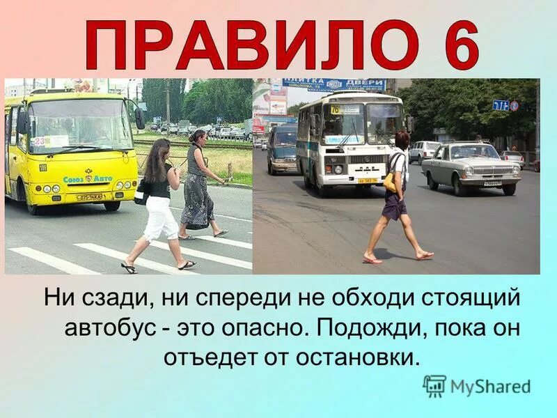 Дорожная ловушка автобус. Почему стоит автобус. Обходить стоящий автобус. Маршрутка спереди. Автобус спереди и сзади.