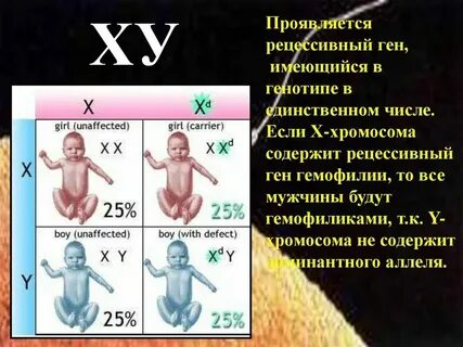 Гемофилия доминантный или рецессивный