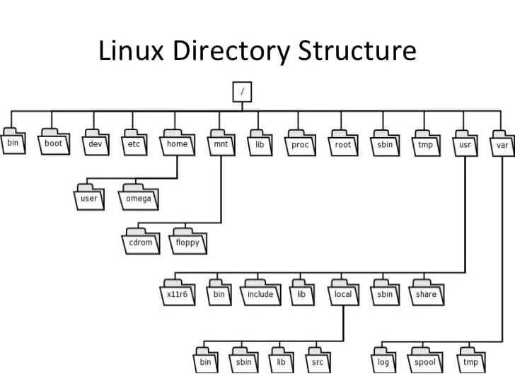 Файловая система ubuntu. Иерархическая файловая система linux. файловая структура линукс. архитектура файловой системы linux. иерархия каталогов linux.