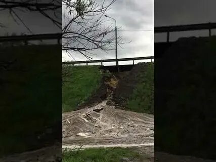 Билеты тула лазаревское