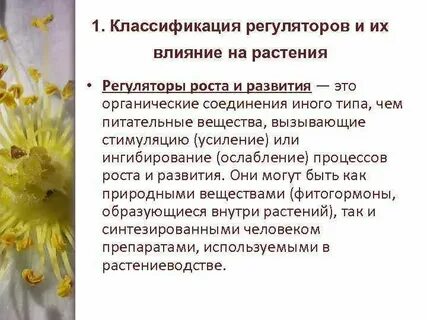 Применение регулятора роста
