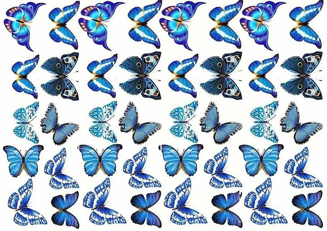 Вафельные бабочки. Торт «бабочки». Бабочки для печати. Бабочки на вафельной бумаге. Бабочки для торта картинки для печати