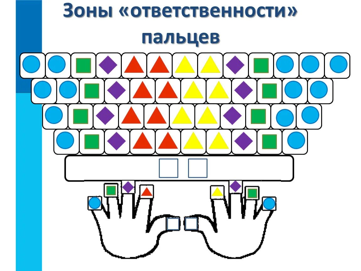 Как печатать клавиши. Зоны ответственности пальцев на клавиатуре Информатика 7 класс. Зоны ответственности пальцев на клавиатуре. Основная позиция пальцев на клавиатуре. Основное расположение пальцев на клавиатуре.