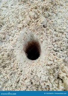 Hole hunters