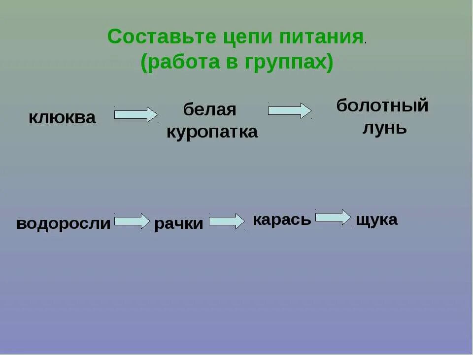 Составить цепи пресного водоема