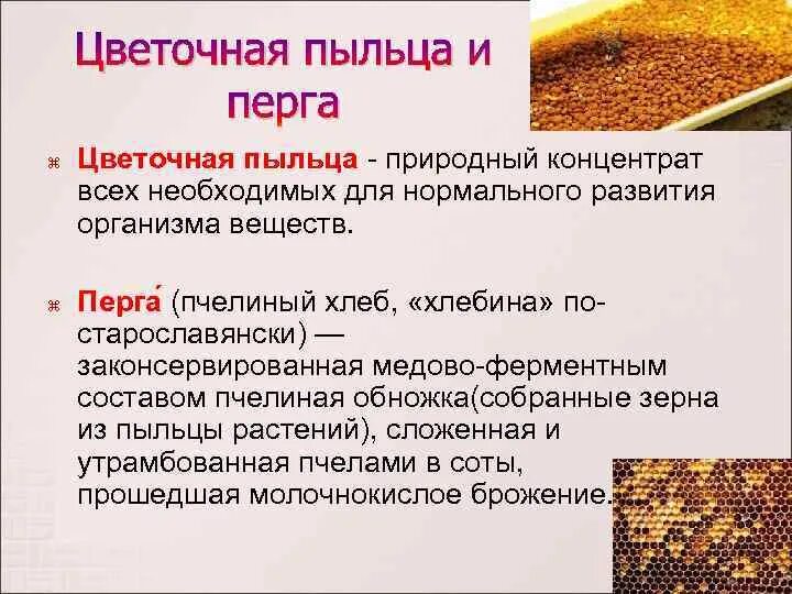 Список пыльца. Пыльца и перга пчелиная полезные. Цветочная пыльца и перга. Перга пчелиная и пыльца разница. Полезные свойство пыльцы.