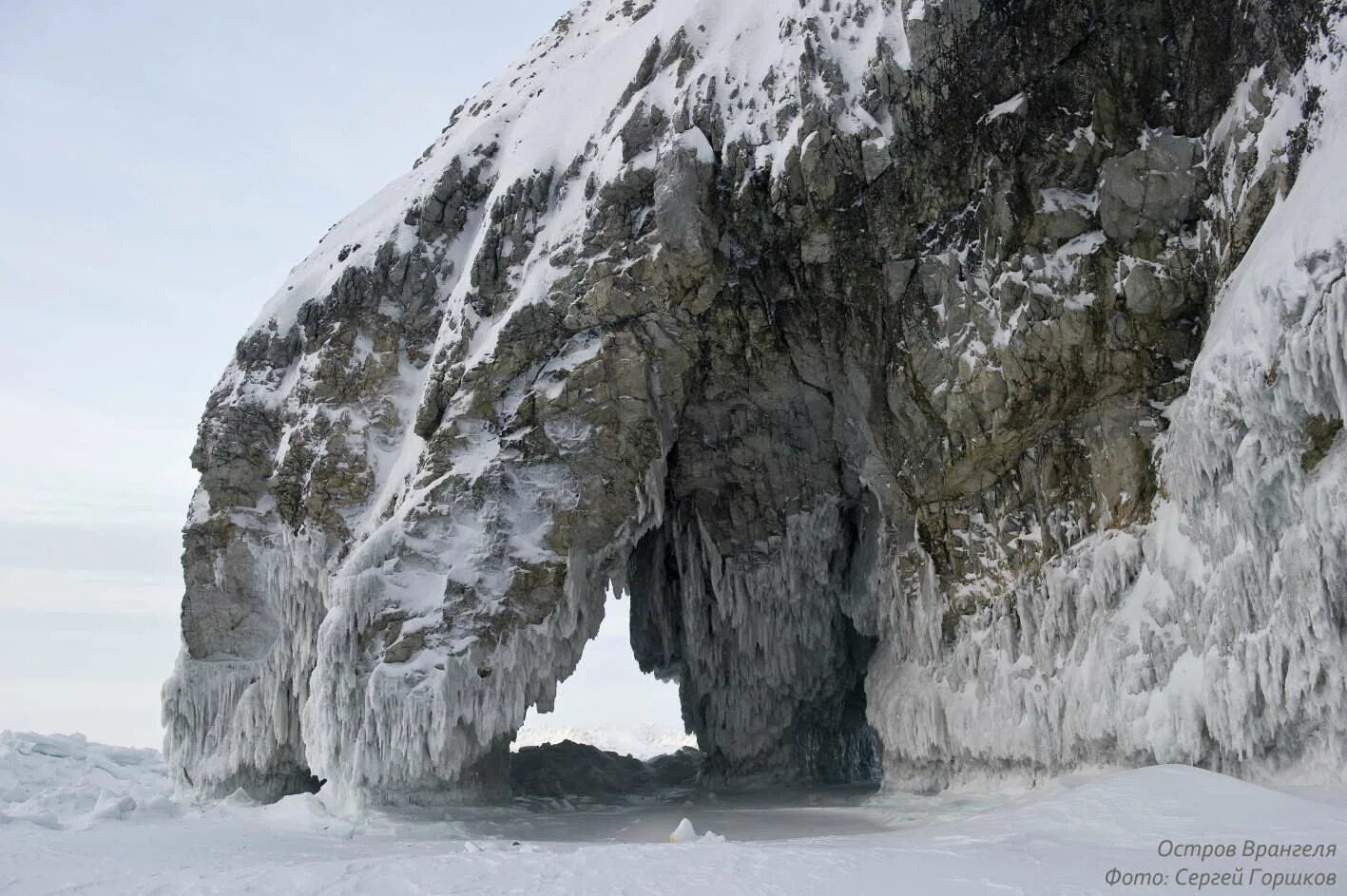 Территория острова врангеля. Остров врангеля заповедник. Заповедник остров врангеля на карте. Заповедник «остров врангеля» (чукотка). Остров врангеля заповедник географическое положение.