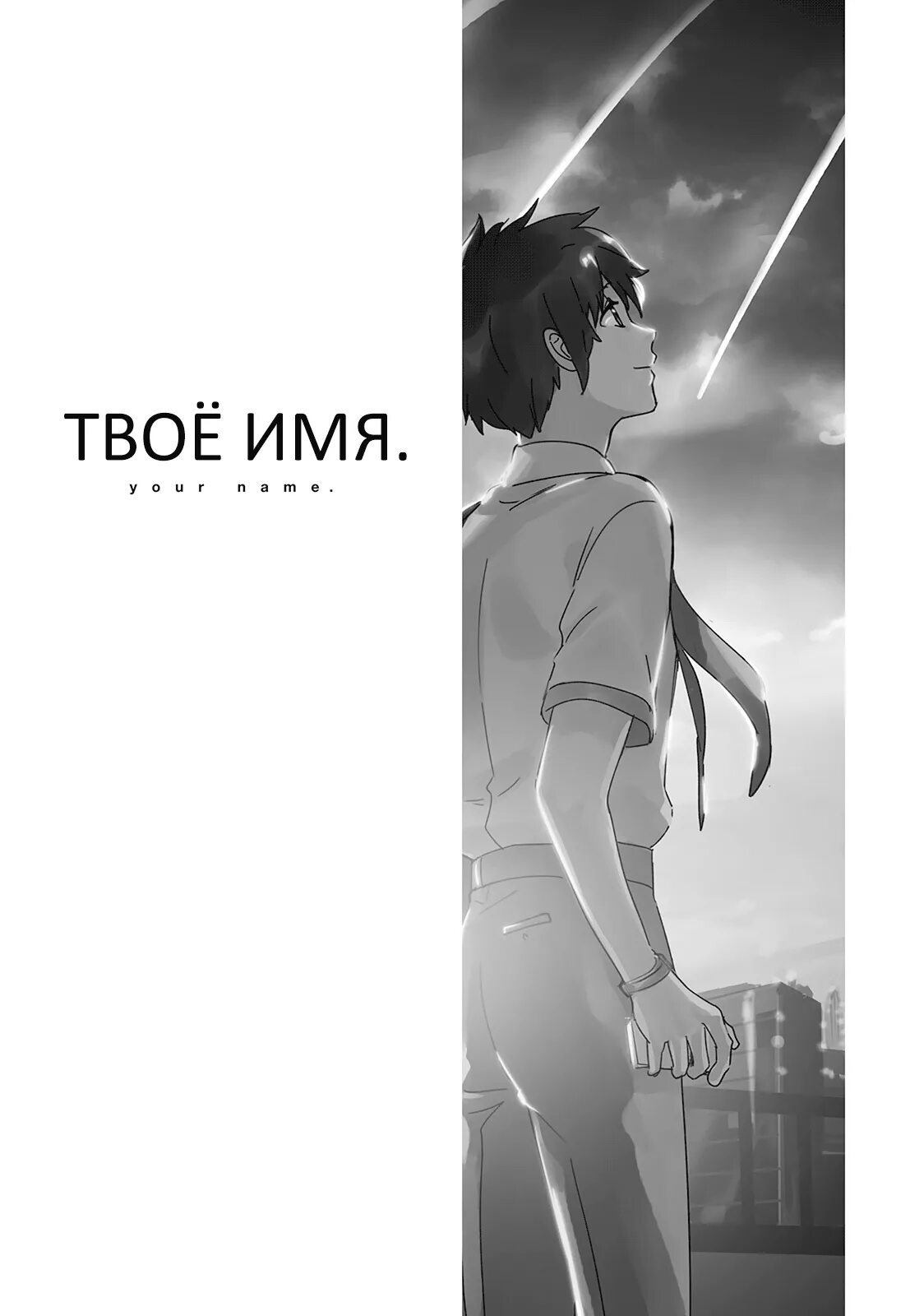 Твое имя манга. Твое имя постер. Твое имя пользователя. Имя твое. Твое имя книга.