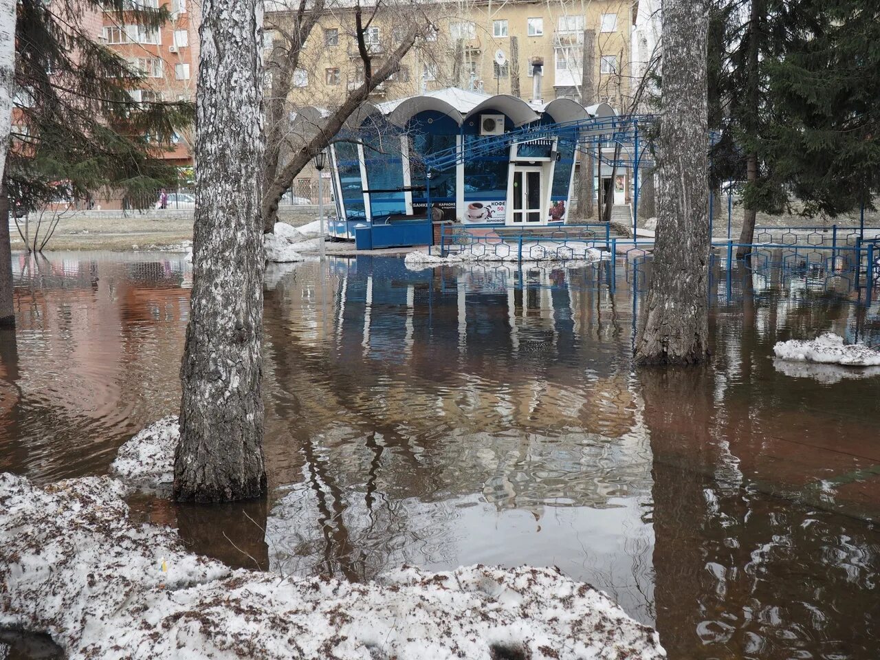 Фото весеннего новосибирск. Фото весеннего новосибирск. Фото весеннего новосибирск. Фото весеннего новосибирск. Улица весенняя новосибирск.