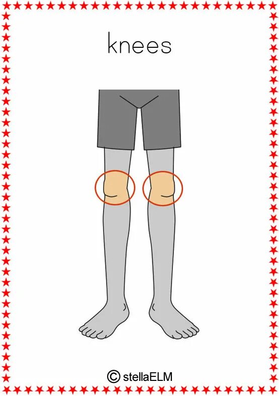 Knee перевод на русский. Knees flashcard. toes рисунок. knee картинка для детей.