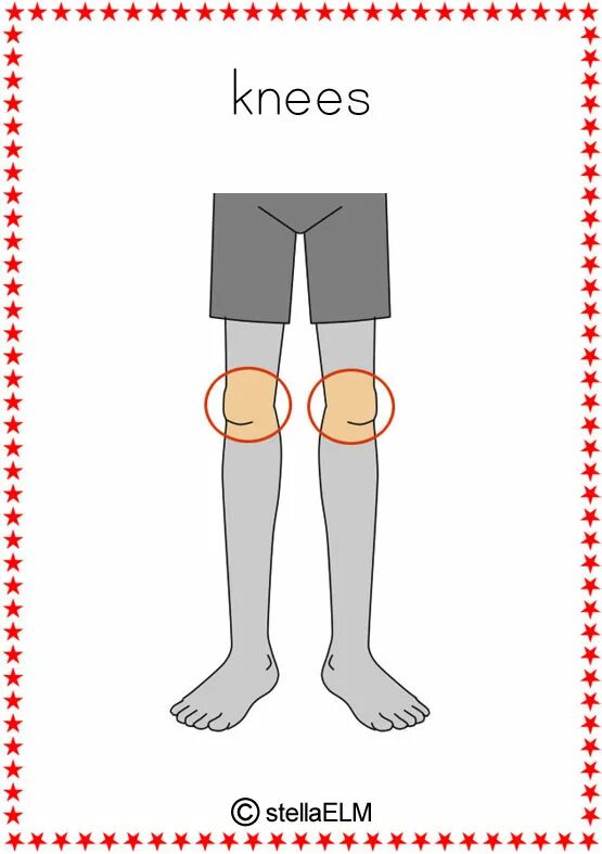 Toes произношение. Knees Flashcard. Knees нарисованная для ребенка. Toes рисунок. Карточки по английскому языку Knees.