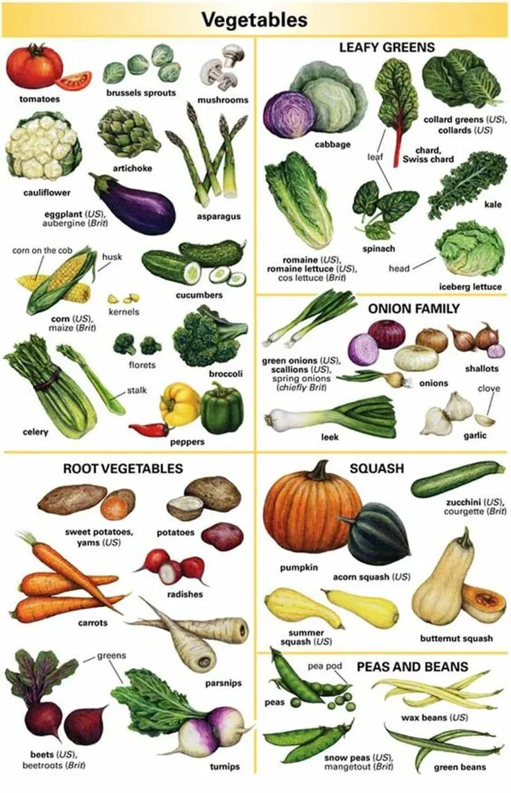 Vegetables list. Овощи по названию. Овощи на английском. Названия овощей на англ. Название всех овощей.