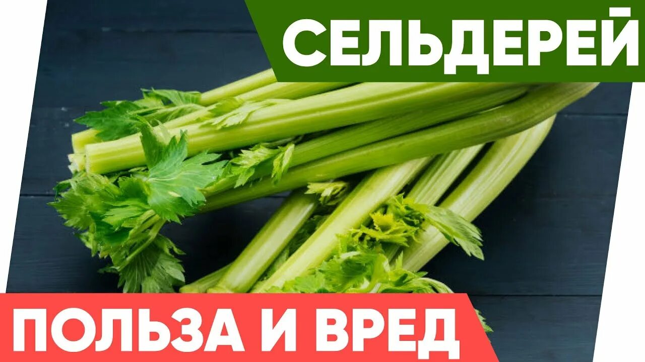 Сельдерей для мужчин польза и вред здоровья. Что полезного в сельдерее. Чем полезен сельдерей. Полезные свойства сельдерея. Палка сельдерея.