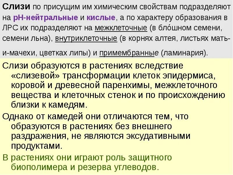 Свойства слизи. Слизь в лекарственном сырье. ЛРС содержащие полисахариды слизь. Слизи характеристика