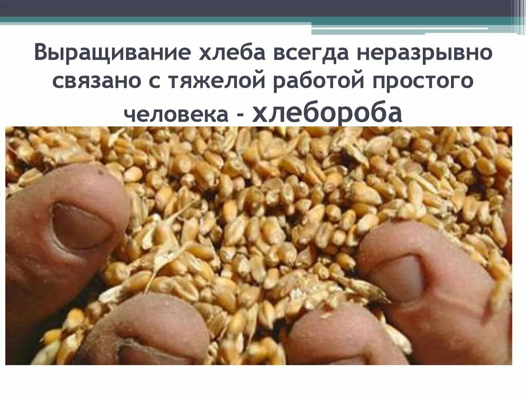 Выращивание хлеба. Иллюстрации как растет хлеб. Крестьянин пашет землю. Как выращивают хлеб. Профессии которые выращивают хлеб.