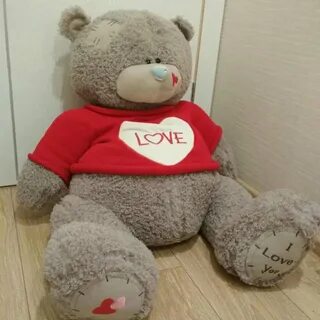 Teddy 1