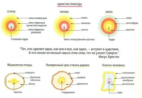 Перенос энергии солнца