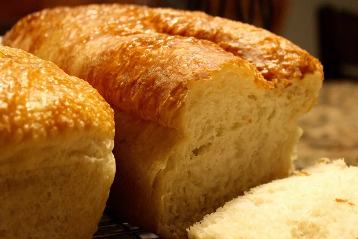 Making bread. Bread flour. bread making. bread &quot;manna&quot;. 100 great breads.