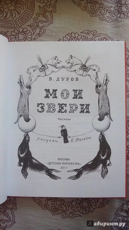 Дуров наша жучка иллюстрации. Иллюстрация к рассказу Дурова наша жучка. Рассказ Дурова жучка. Наша жучка рассказ Дуров. Рассказ дурова наша жучка