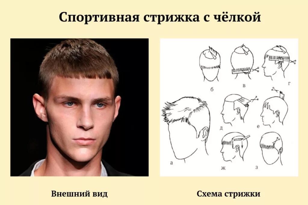 Мужская стрижка поэтапно. Спортивная канадка мужская стрижка техника выполнения. Схемы мужских стрижек. Модные мужские стрижки схемы. Мужская стрижка схема выполнения.